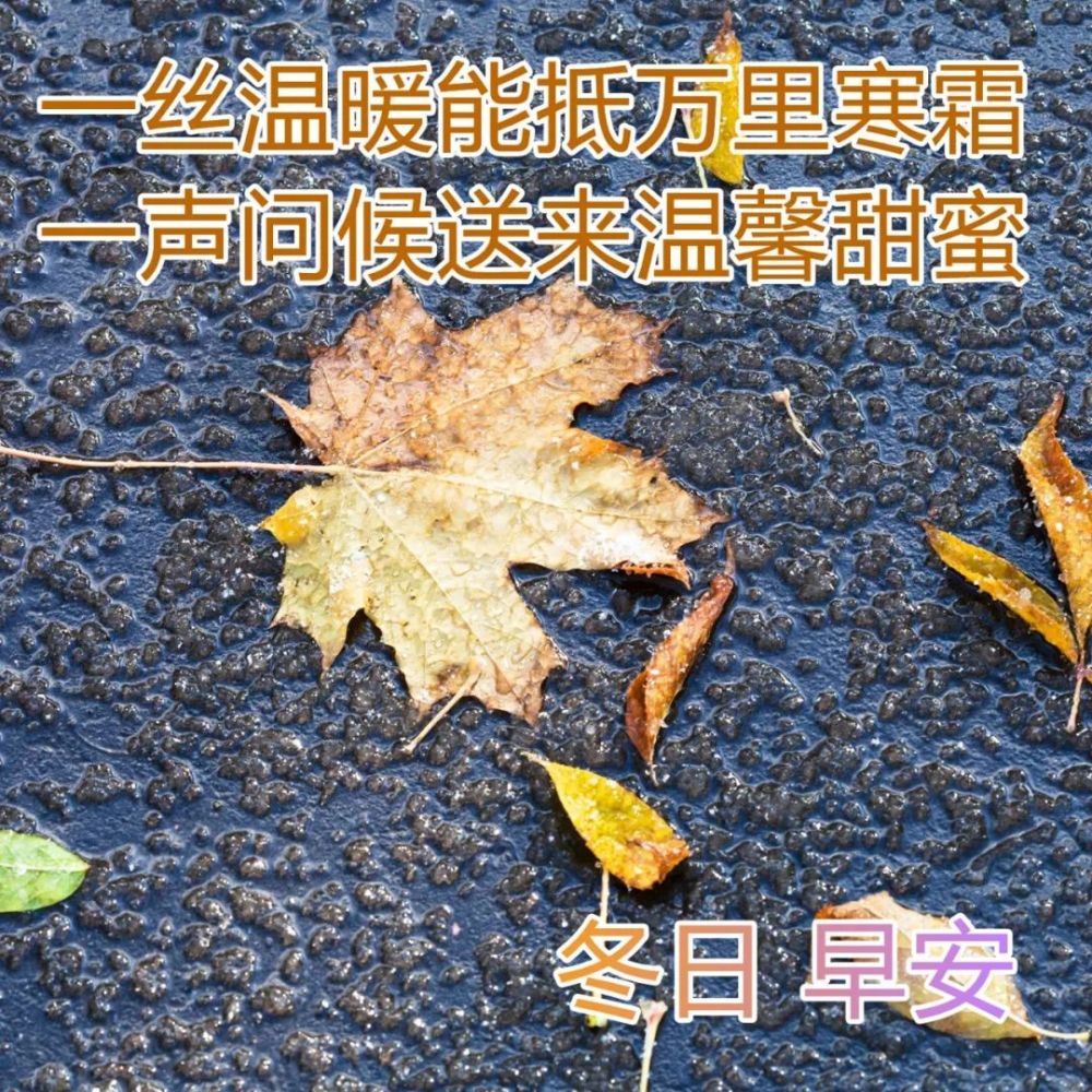 大寒早上好祝福语图片大全大寒节气早安问候语短信祝福句子