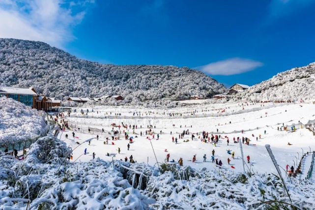 重庆5大滑雪场被评为川渝滑雪胜地!