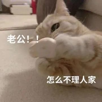 表情包老公怎么不理人家