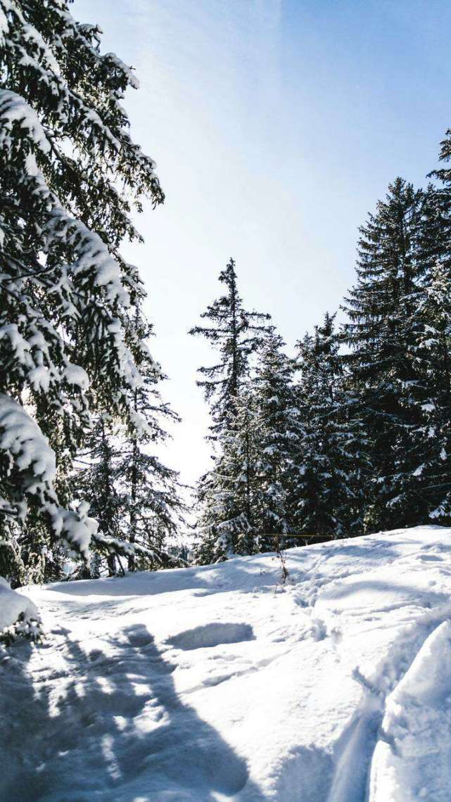 雪景手机壁纸