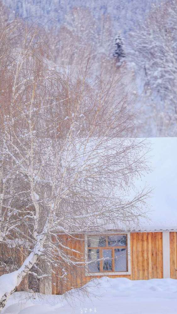 雪景手机壁纸