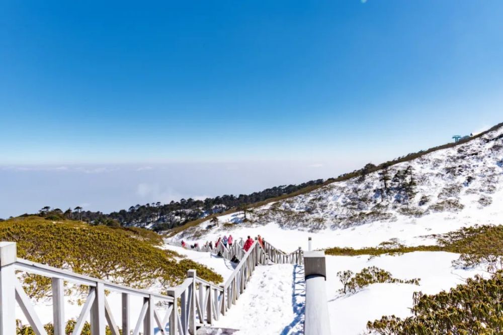 大理下雪了苍山洗马潭雪景美醉了