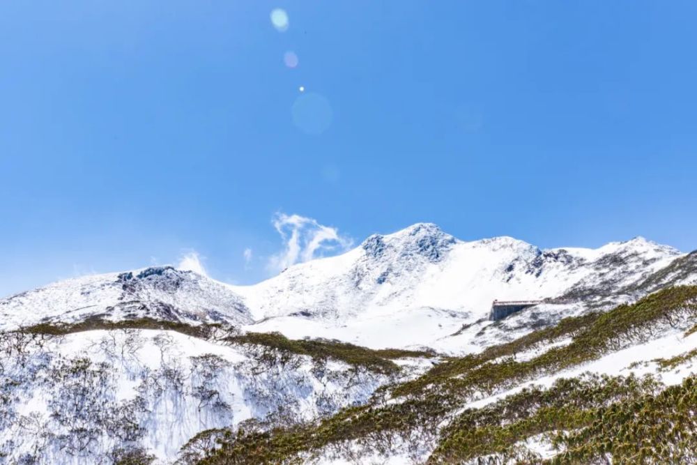 大理下雪了苍山洗马潭雪景美醉了