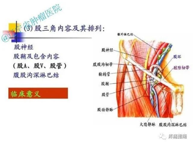 人体8个危险三角区