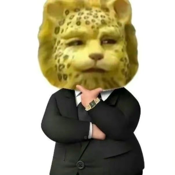 金钱豹头像