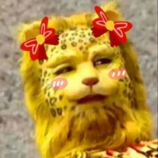 真是捅了豹子窝了,火遍朋友圈的金钱豹,用了能暴富吗?