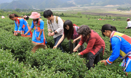 腾冲高山乌龙茶马站景区