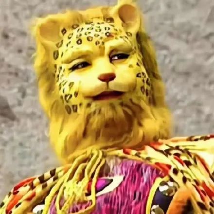 换上最火的金钱豹头像我还是没有一夜暴富啊