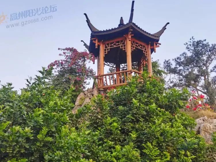 高州岭南凤凰园开园啦儿童和老人免门票上阳光星选买票有优惠