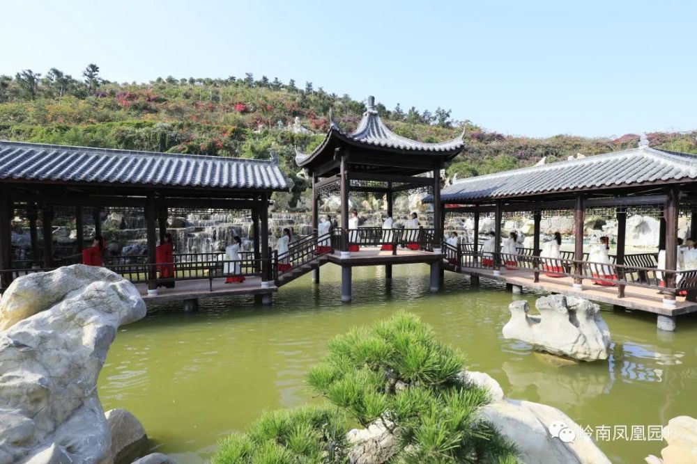 高州岭南凤凰园开园啦儿童和老人免门票上阳光星选买票有优惠