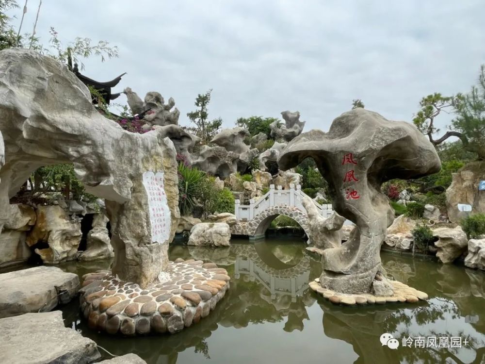 高州岭南凤凰园开园啦儿童和老人免门票上阳光星选买票有优惠