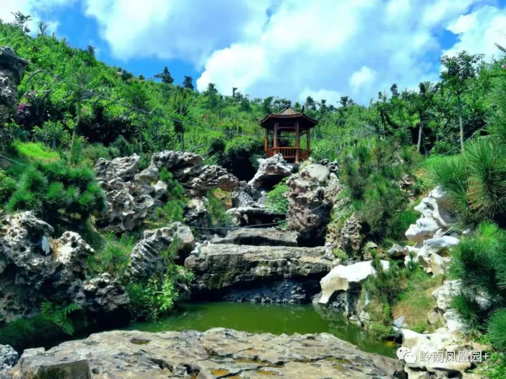 高州岭南凤凰园开园啦儿童和老人免门票上阳光星选买票有优惠