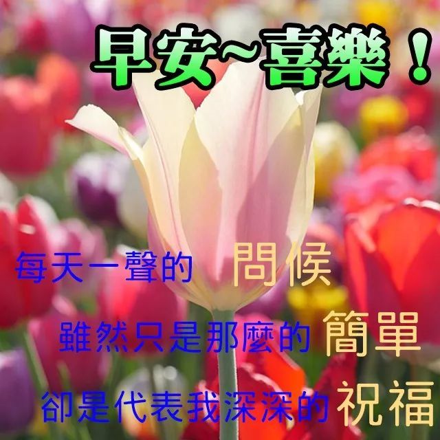 2月19日每日祝福