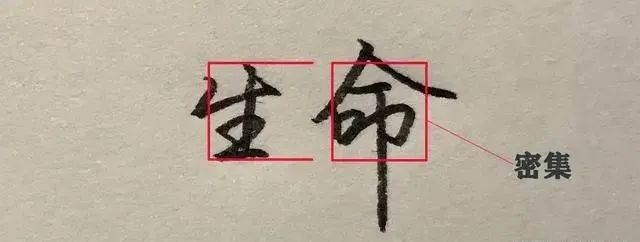 "生"字所对应的部位,是"命"字笔画最多,最密集的部位"命"字中上下