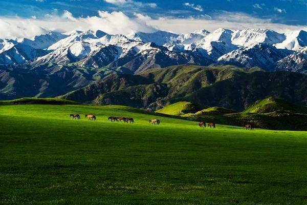 巴尔鲁克山位于新疆塔城地区裕民县中南部,是国家aaaa级旅游景区.