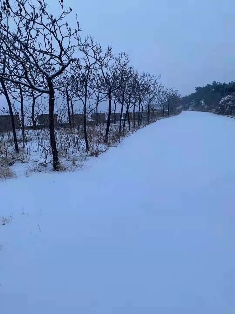 锦绣昌黎2022年第一场雪