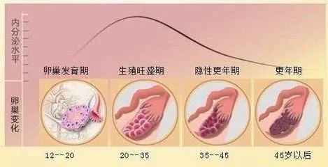 天伦科普卵巢功能好不好你需要做这3个生育力检查