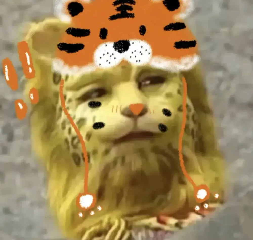 微信头像敲可爱的金钱豹来了