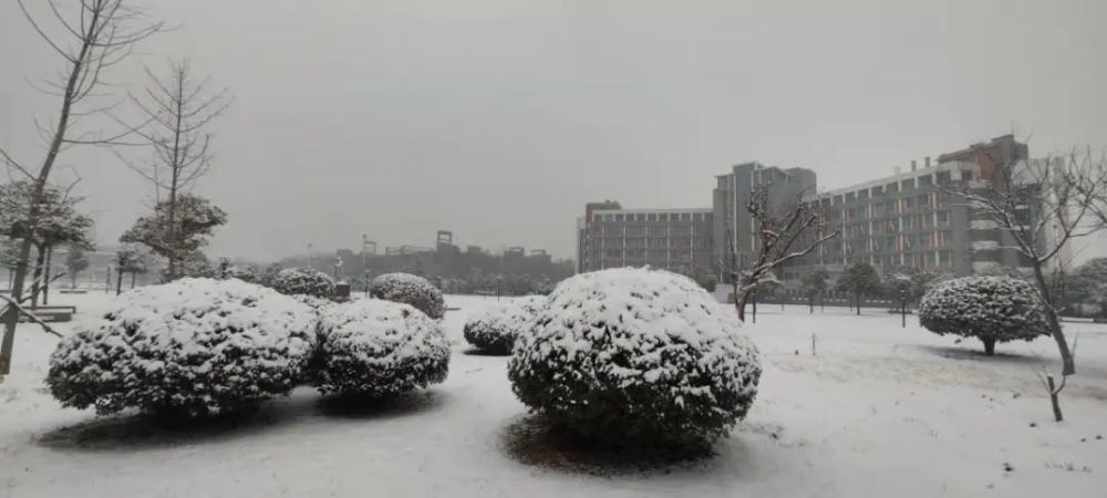 雪后河南校园真美