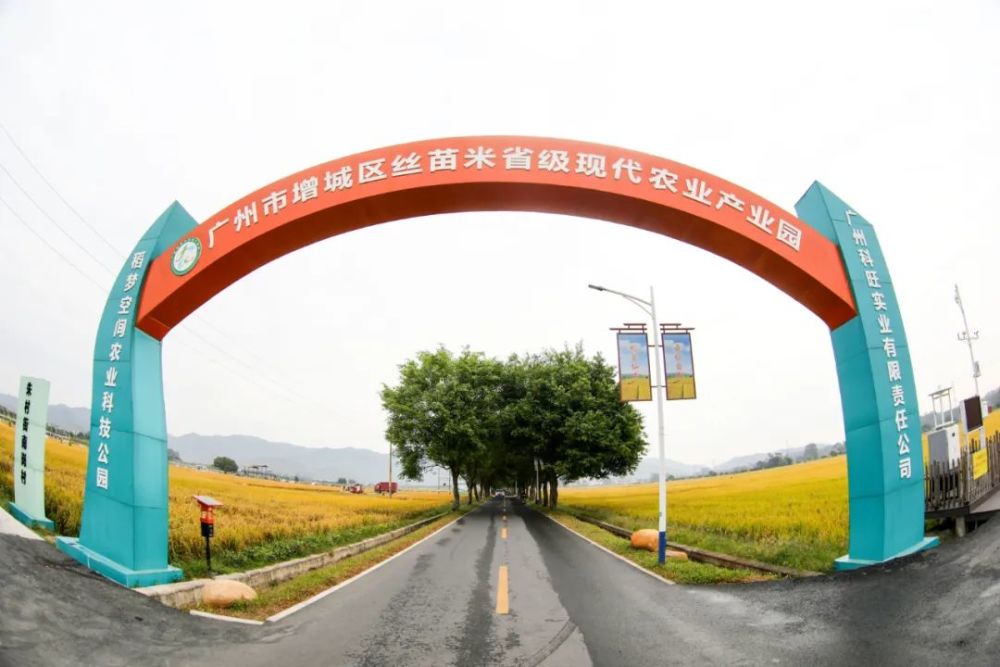 战鼓即将擂响增城27条新乡村示范带建设出炉你家在其中吗