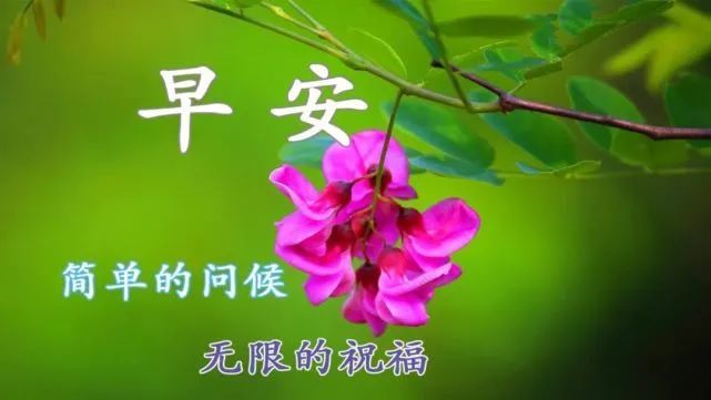 早上好最好看的图片大全适合早上发的朋友圈早安语