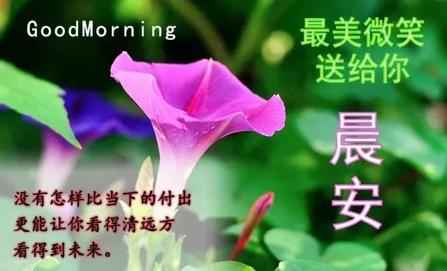 周日早上好的最佳图片 一月温暖早上好励志祝福语 早上好的问候美句