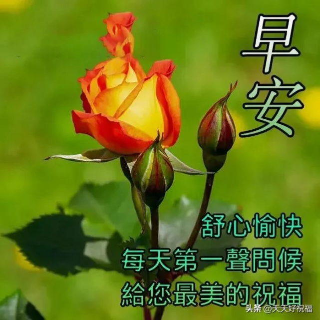 2,又是美好的一天,祝福送给你:调节好心情,烦恼全丢弃;温度直攀高