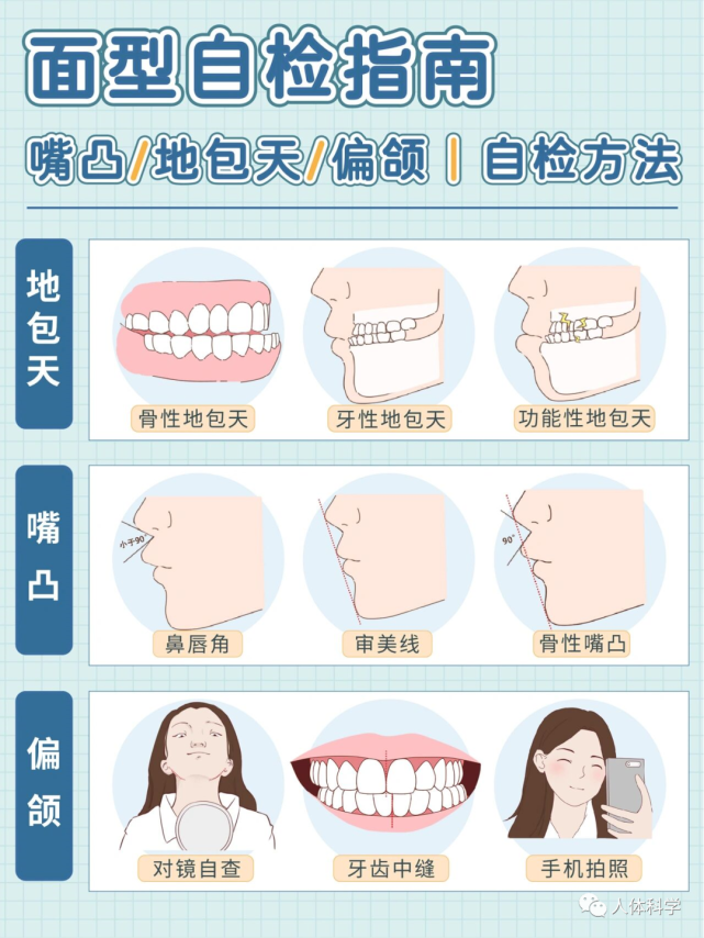 形象研究所1分钟自检面型嘴凸地包天偏颌