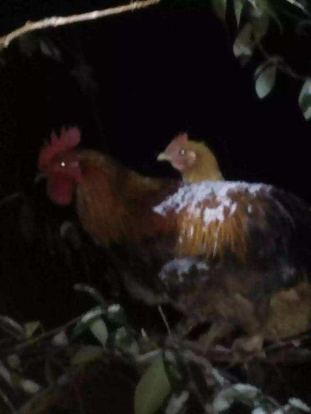 ÿ����ñȼ��磬ƴ��������������Ҳ�����Σ���ã�����