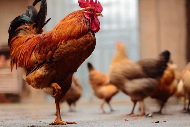 ��ñȼ���_��ñȼ��� ˯�ñȹ���_���� ��ñȼ���