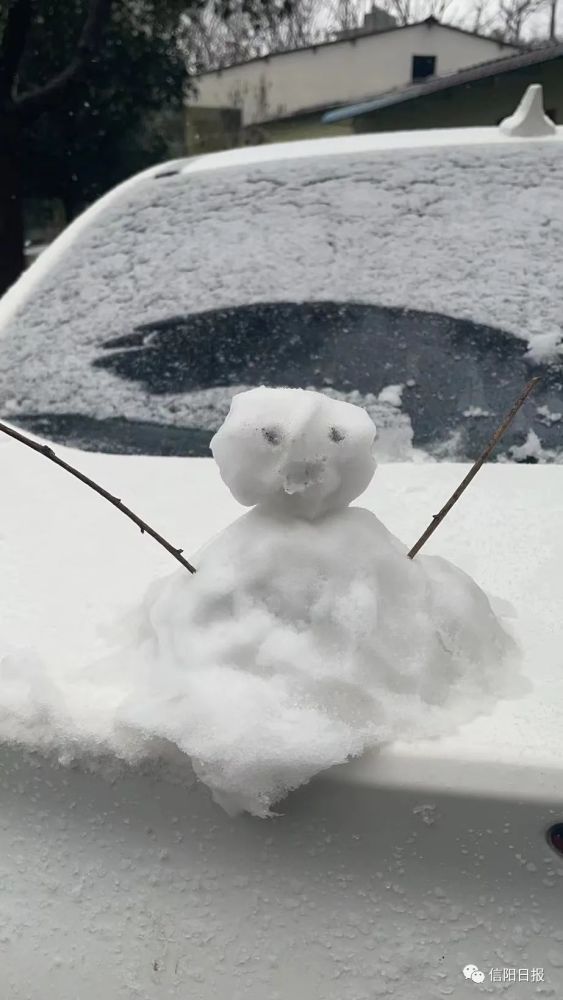 信阳下雪了附图视频