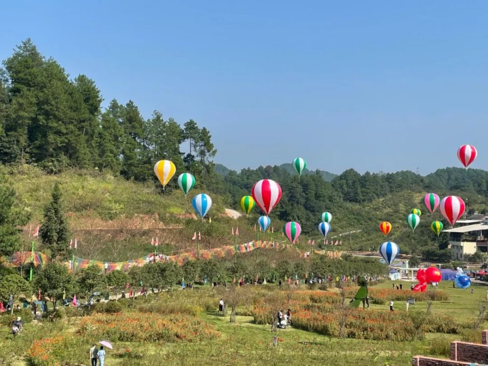 花湖洞天景区红梅观赏季来了