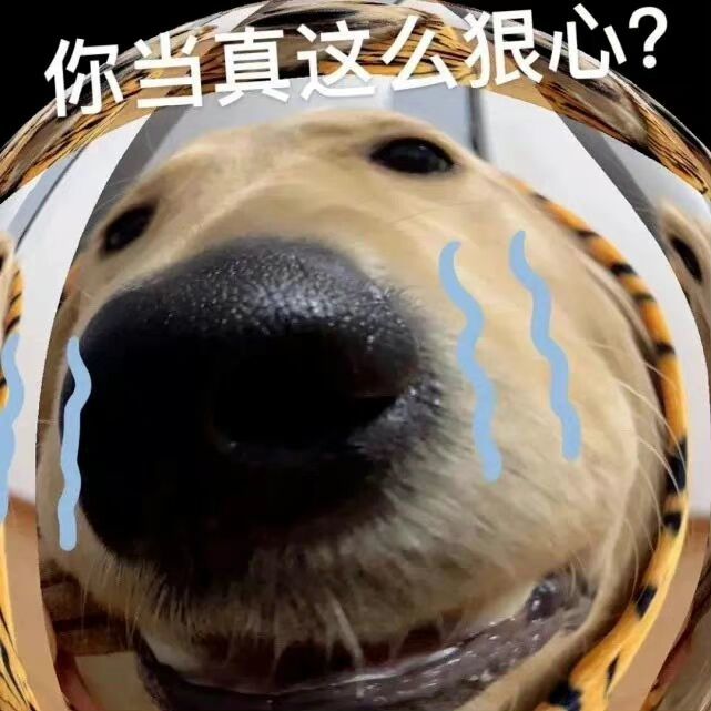 沙雕狗头表情包我才不在乎呢