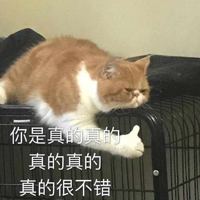 可爱猫咪表情包骂骂咧咧