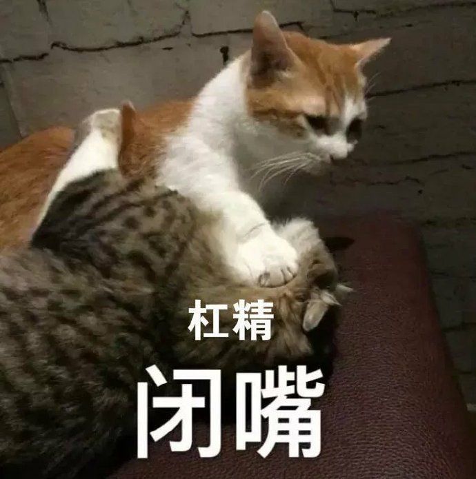 可爱猫咪表情包骂骂咧咧