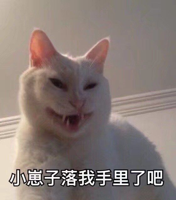 凶巴巴猫咪表情包给老子爬