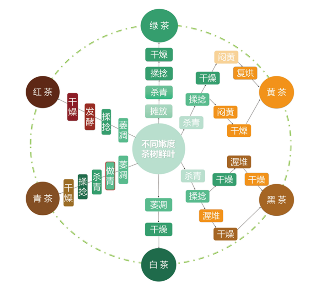 下面这张图概括了六大茶类初制加工工艺流程图.