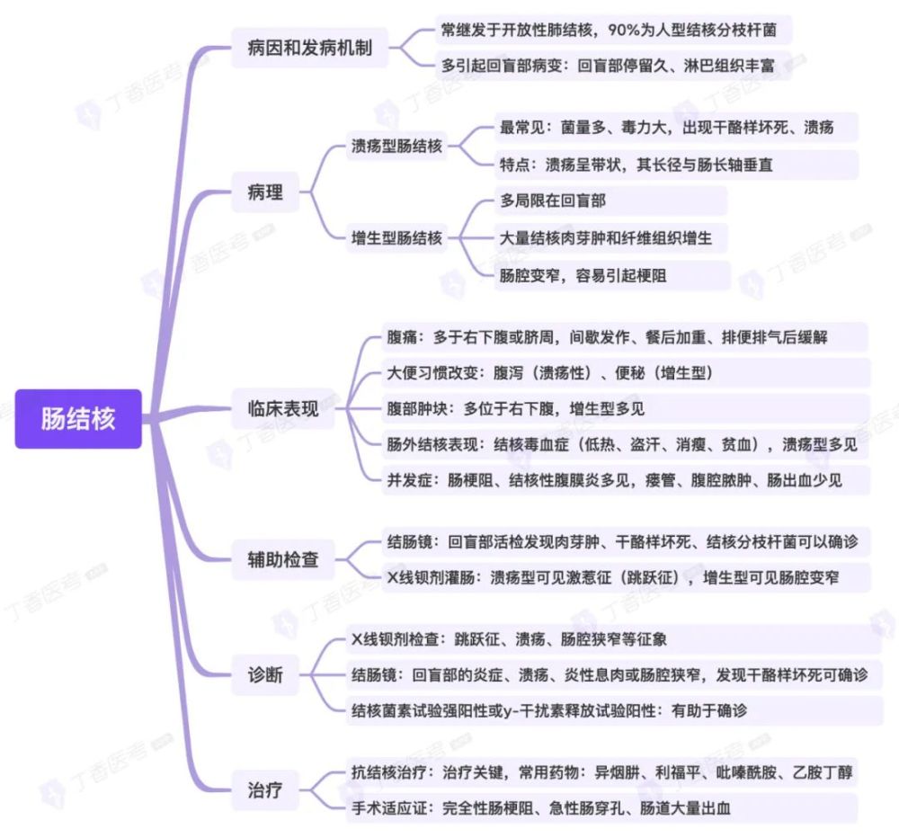 思维导图消化系统之肠结核