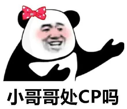 表情包小姐姐处cp吗