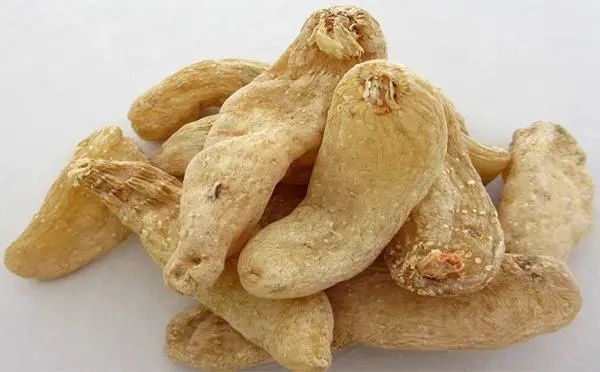 国医大师熊继柏运用温胆汤经验