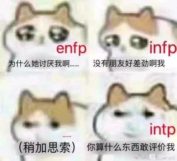 表情包infp是什么梗