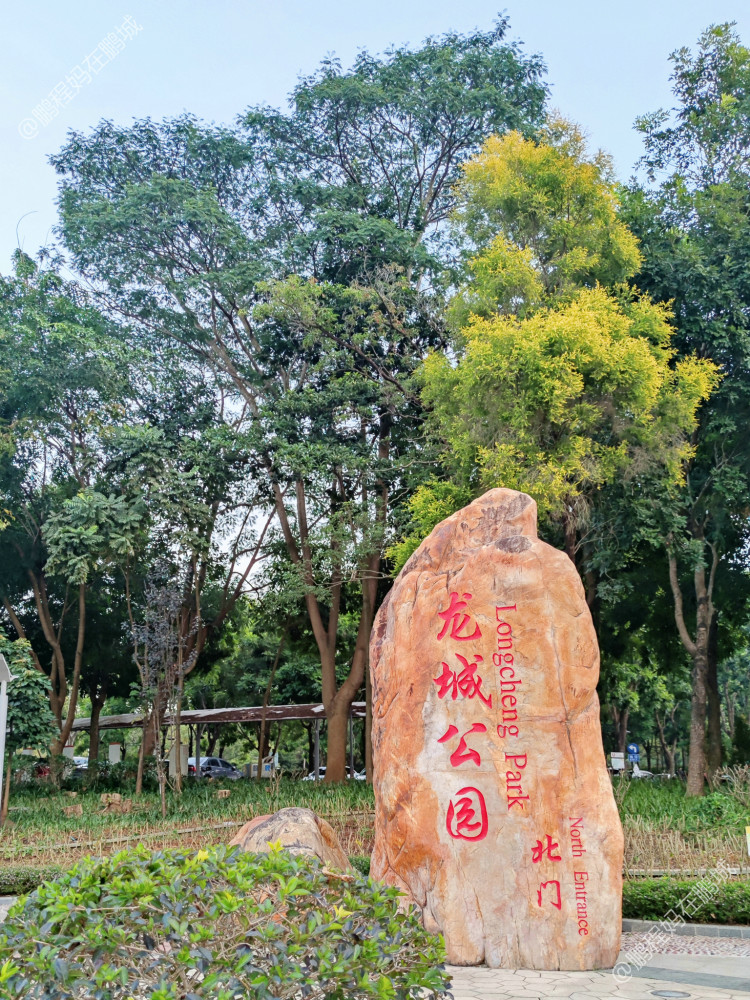 深圳龙岗龙城公园山林风景个人摄影集登山道徒步露营