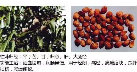 501个中草药图谱(附主治功效)