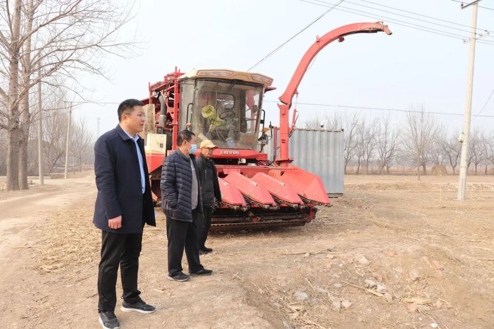 庆云县东辛店镇邓长顺致富书记带动乡村振兴