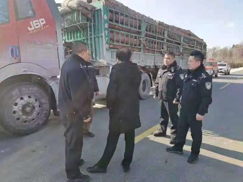 辽源联合行动力度大盗伐林木者被抓现行
