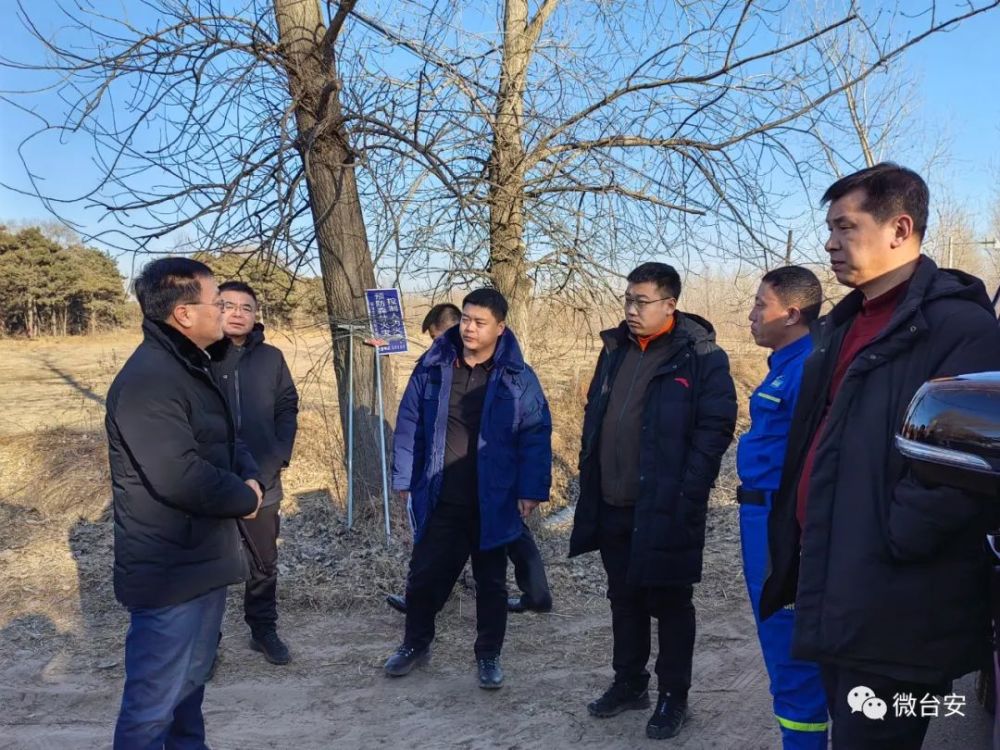 在西平林场岳家工区和西平林场办公楼,苑振超详细了