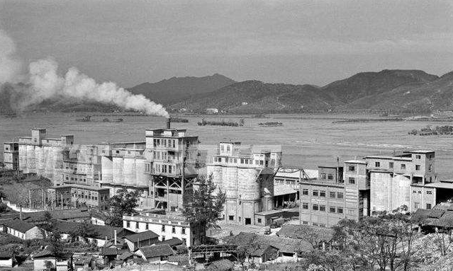 河北黑老大杨树宽覆灭记