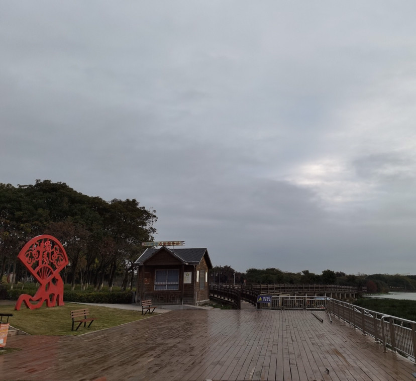 镜头里的美丽乡村秀屿区土海湿地公园冬日风光一