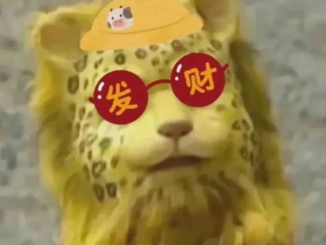 表情包头像|金钱豹新年沙雕系列