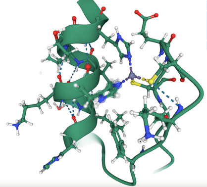 c2h2型锌指pdb(其中红球为锌离子)锌指结构是锌配位dna结合结构域类